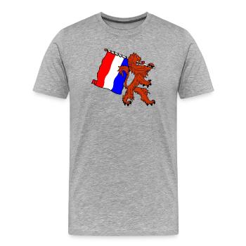 Lion d’orange avec drapeau néerlandais - T-shirt bio Premium Homme - gris chiné - Devant - Damien (186cm)