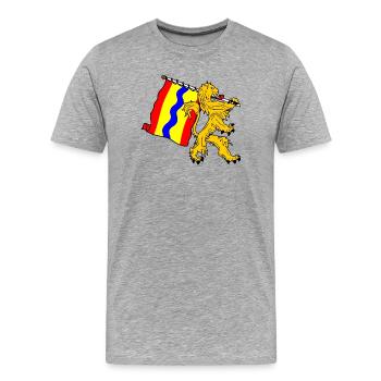 Lion avec drapeau drapeau de la province d’Overijssel - T-shirt bio Premium Homme - gris chiné - Devant - Damien (186cm)
