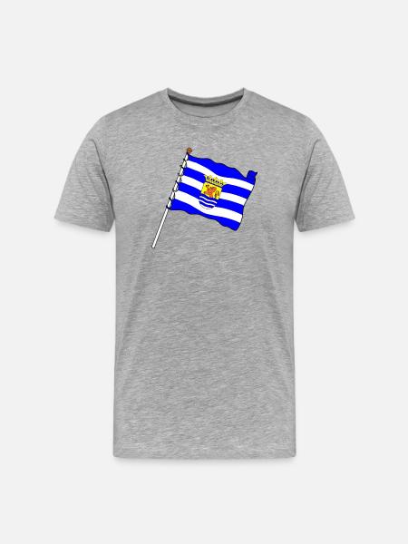 Flag Zeeland Zeeland province flag - Men's Premium Organic T-Shirt - heather grey