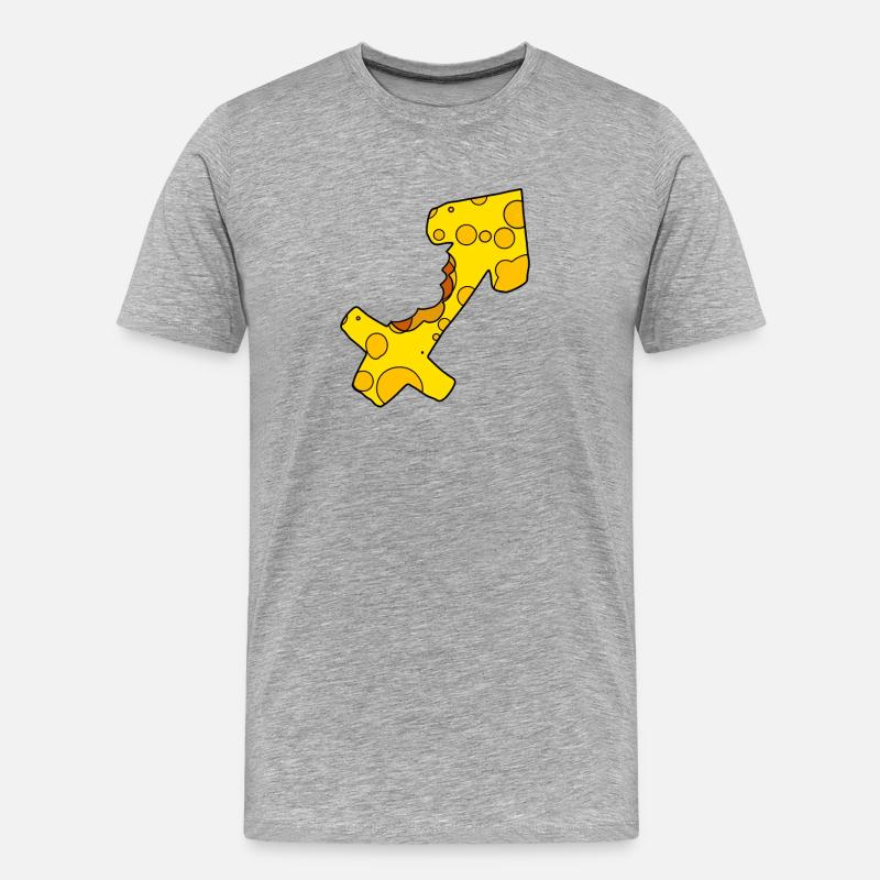Sternzeichen Schütze - Männer Premium Bio T-Shirt - Grau meliert