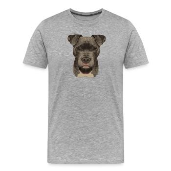 Am Staff, american stafford Terrier - Männer Premium Bio T-Shirt - Grau meliert - Vorne - Damien (186cm)