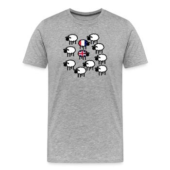 Französische und britische Schafe - Männer Premium Bio T-Shirt - Grau meliert - Vorne - Damien (186cm)