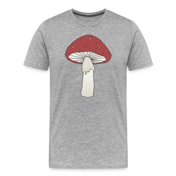 Fliegenpilz - Männer Premium Bio T-Shirt - Grau meliert - Vorne - Damien (186cm)