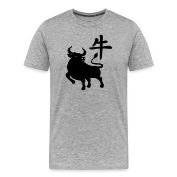 Chinesisches Zeichenbetriebssystem mit OS-Bild, Schatten - Männer Premium Bio T-Shirt - Grau meliert - Vorne - Damien (186cm)