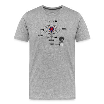 Physik - Männer Premium Bio T-Shirt - Grau meliert - Vorne - Damien (186cm)