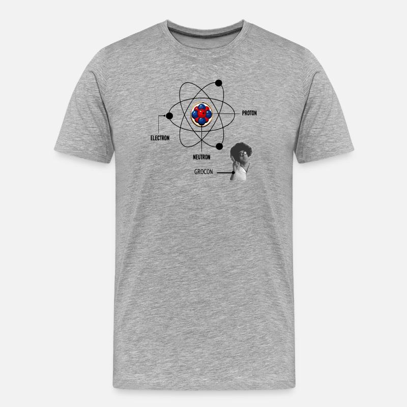 Physik - Männer Premium Bio T-Shirt - Grau meliert