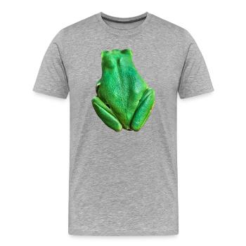 Je suis une grenouille, Madame - T-shirt bio Premium Homme - gris chiné - Devant - Damien (186cm)