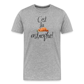 C'est la catastrophe, les chats sont très joueurs. - T-shirt bio Premium Homme - gris chiné - Devant - Damien (186cm)
