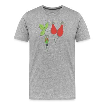 rose hip - Men's Premium Organic T-Shirt - heather grey - Front - Damien (186cm)