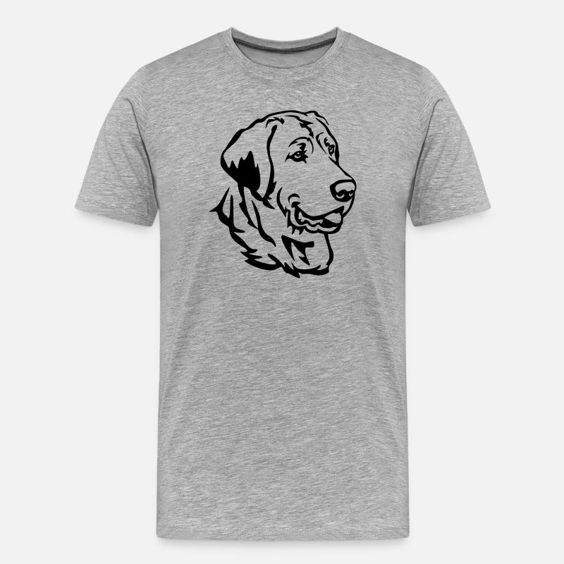 Broholmer Kopf - Männer Premium Bio T-Shirt - Grau meliert