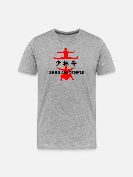 Temple de Kung Fu Shaolin - T-shirt bio Premium Homme - gris chiné
