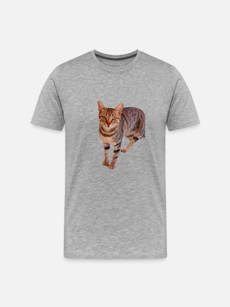 Cat Kitten - Men's Premium Organic T-Shirt - heather grey