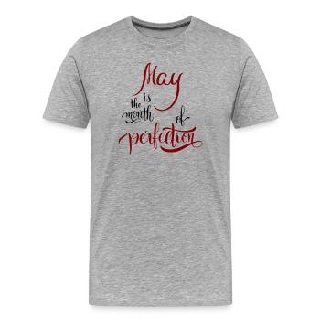 Mai, Monat, Frühling - Männer Premium Bio T-Shirt - Grau meliert - Vorne - Damien (186cm)