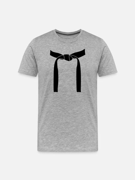 Kampfsportband oder Obi - Männer Premium Bio T-Shirt - Grau meliert