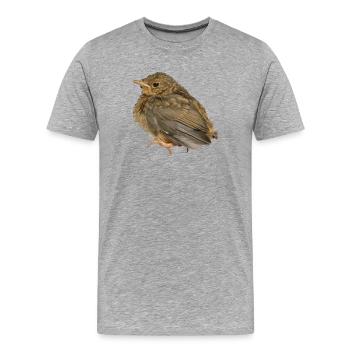 Robin Branch - Men's Premium Organic T-Shirt - heather grey - Front - Damien (186cm)