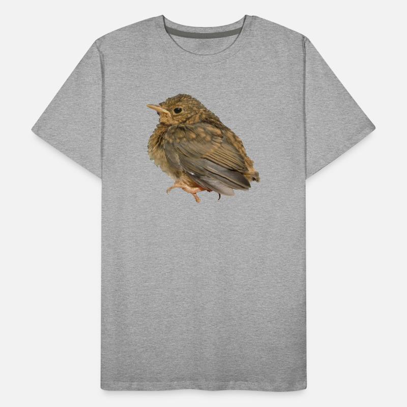 Succursale de Robin T-shirt bio Premium Homme