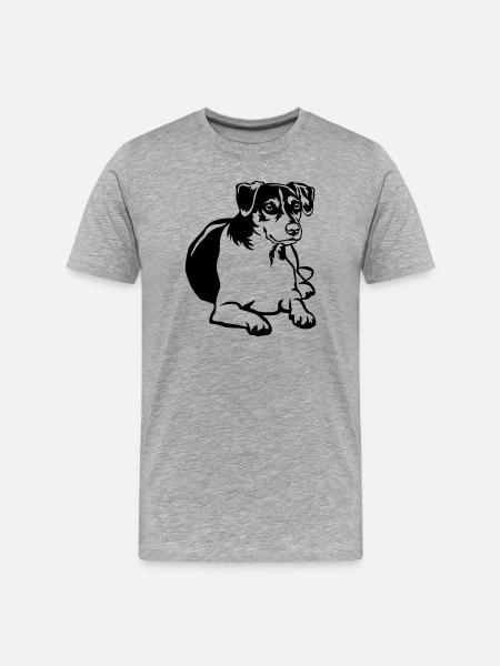 Dansk Svensk Gaardhond - Men's Premium Organic T-Shirt - heather grey