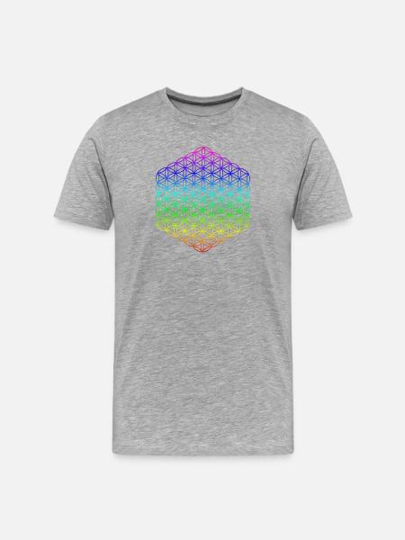 Flower of Life - 5th Dimension - Mandala - Men's Premium Organic T-Shirt - heather grey