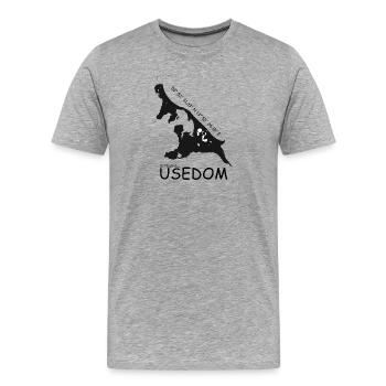 Usedom Koordinaten - Männer Premium Bio T-Shirt - Grau meliert - Vorne - Damien (186cm)