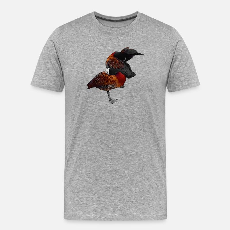 putzende Gänse, Wasservögel - Männer Premium Bio T-Shirt - Grau meliert