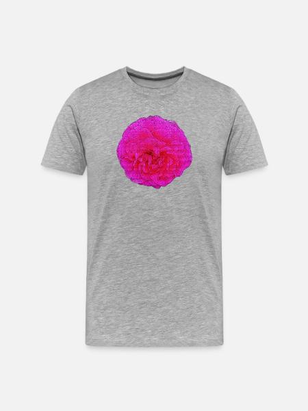 gefüllte rose, schöne blumen, rosatönte - Männer Premium Bio T-Shirt - Grau meliert
