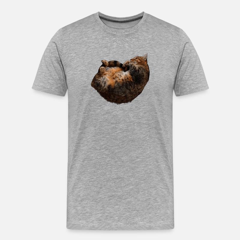 entspannte Katze, tabby motive - Männer Premium Bio T-Shirt - Grau meliert