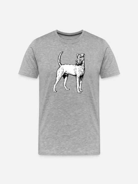 Irish Terrier Mailo 2023 sw - Men's Premium Organic T-Shirt - heather grey