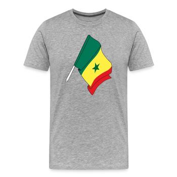Flagge von Senegal - Männer Premium Bio T-Shirt - Grau meliert - Vorne - Damien (186cm)