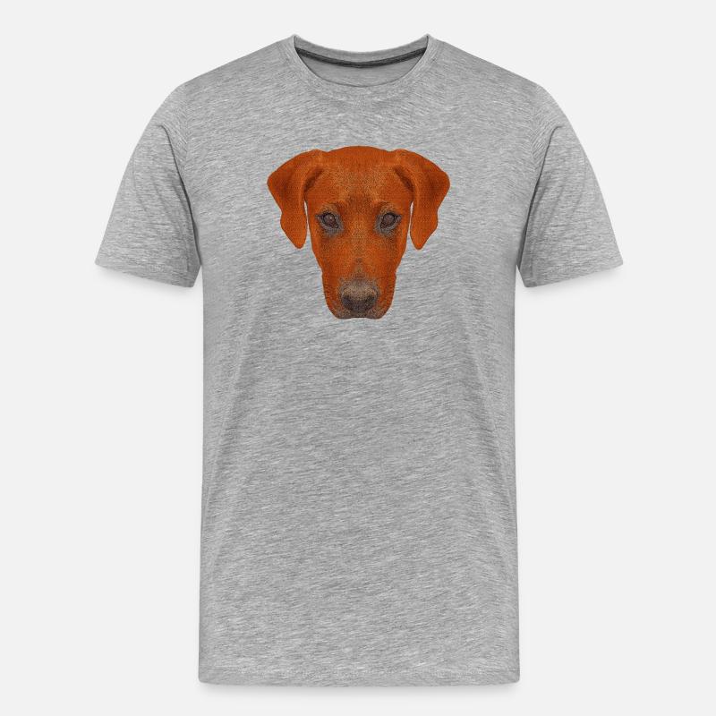 haustierkleidung herren, rhodesian ridgeback - Männer Premium Bio T-Shirt - Grau meliert