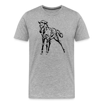 Pferde T-shirt Geschenk Reiter  - Männer Premium Bio T-Shirt - Grau meliert - Vorne - Damien (186cm)