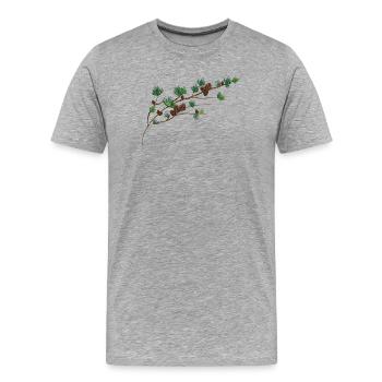 beautiful larch cones on a larch branch - Men's Premium Organic T-Shirt - heather grey - Front - Damien (186cm)