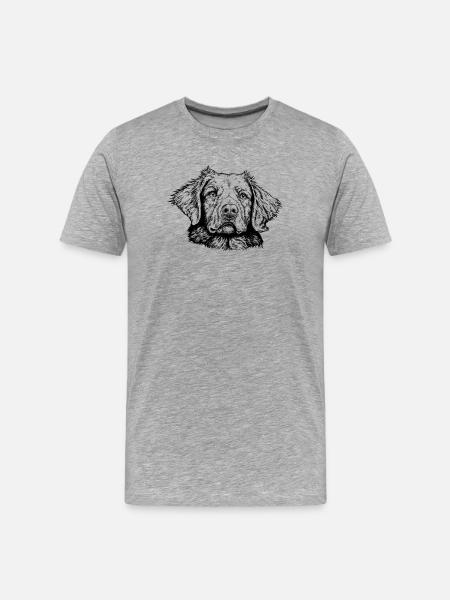 Nova Scotia Duck Tolling Retriever - Maglietta ecologica premium da uomo - grigio melange