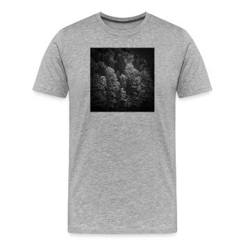 Trees Autumn Bavaria Eibsee Zugspitze Poster - Men's Premium Organic T-Shirt - heather grey - Front - Damien (186cm)