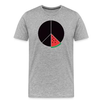 Gaza Peace - Männer Premium Bio T-Shirt - Grau meliert - Vorne - Damien (186cm)