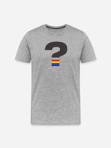 Pride-Fragezeichen-Grafik - Männer Premium Bio T-Shirt - Grau meliert