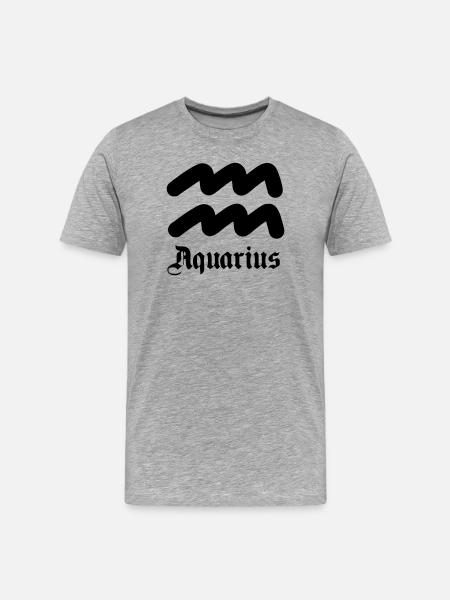 Aquarius Aquarius - Men's Premium Organic T-Shirt - heather grey