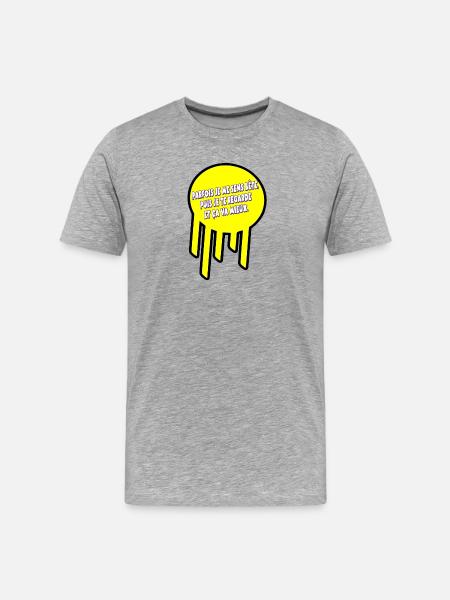 Sometimes I feel stupid - Men's Premium Organic T-Shirt - heather grey