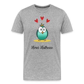 MERCI. MAÎTRESSE. MERCI MAÎTRESSE - T-shirt bio Premium Homme - gris chiné - Devant - Damien (186cm)
