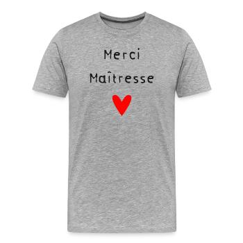 DANKE HERRIN - Männer Premium Bio T-Shirt - Grau meliert - Vorne - Damien (186cm)
