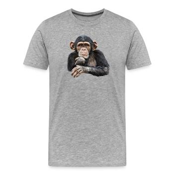 Schimpanse - Männer Premium Bio T-Shirt - Grau meliert - Vorne - Damien (186cm)