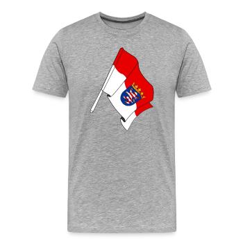 Drapeau de la Hesse - T-shirt bio Premium Homme - gris chiné - Devant - Damien (186cm)