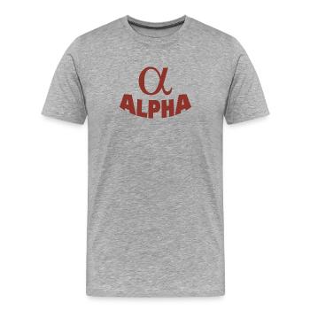 ALPHA - Men's Premium Organic T-Shirt - heather grey - Front - Damien (186cm)