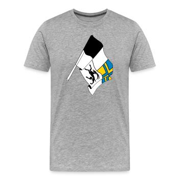Flagge Graubünden, Schweiz - Männer Premium Bio T-Shirt - Grau meliert - Vorne - Damien (186cm)