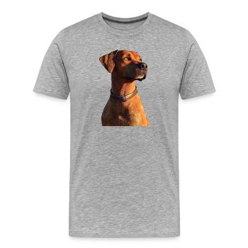 Rhodesian Ridgeback Chien de chasse Chiens Pride Ridgeback - T-shirt bio Premium Homme - gris chiné - Devant - Damien (186cm)