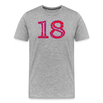 18. 18 ANS. 18e ANNIVERSAIRE. ANNIVERSAIRE 18 ANS. - T-shirt bio Premium Homme - gris chiné - Devant - Damien (186cm)