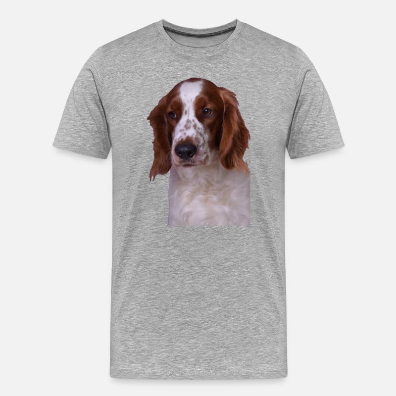 Welsh Springer Spaniel - Männer Premium Bio T-Shirt - Grau meliert