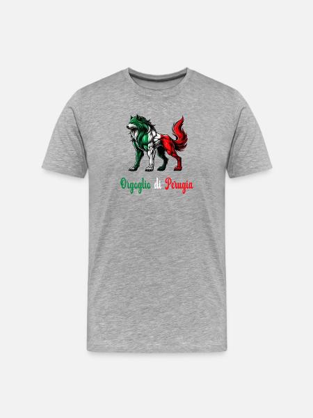 The pride of Perugia Italy flag - Men's Premium Organic T-Shirt - heather grey