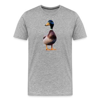 Canard, Canard colvert, Caneton, Caneton, , Canard - T-shirt bio Premium Homme - gris chiné - Devant - Damien (186cm)