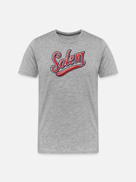 Salem - Männer Premium Bio T-Shirt - Grau meliert