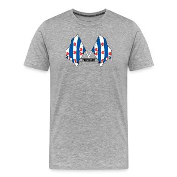 Zwei Flaggen mit dem Text FRIESLAND - Männer Premium Bio T-Shirt - Grau meliert - Vorne - Damien (186cm)